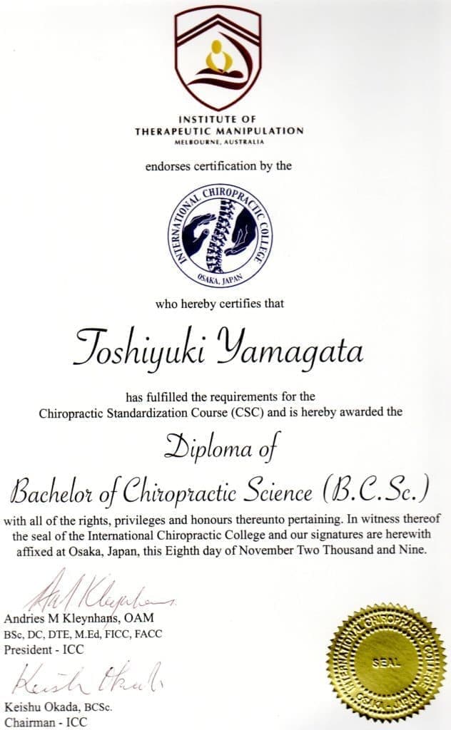 カイロ学位証書|奈良西大寺のパーソナルジム,ダイエットジムのウルジム